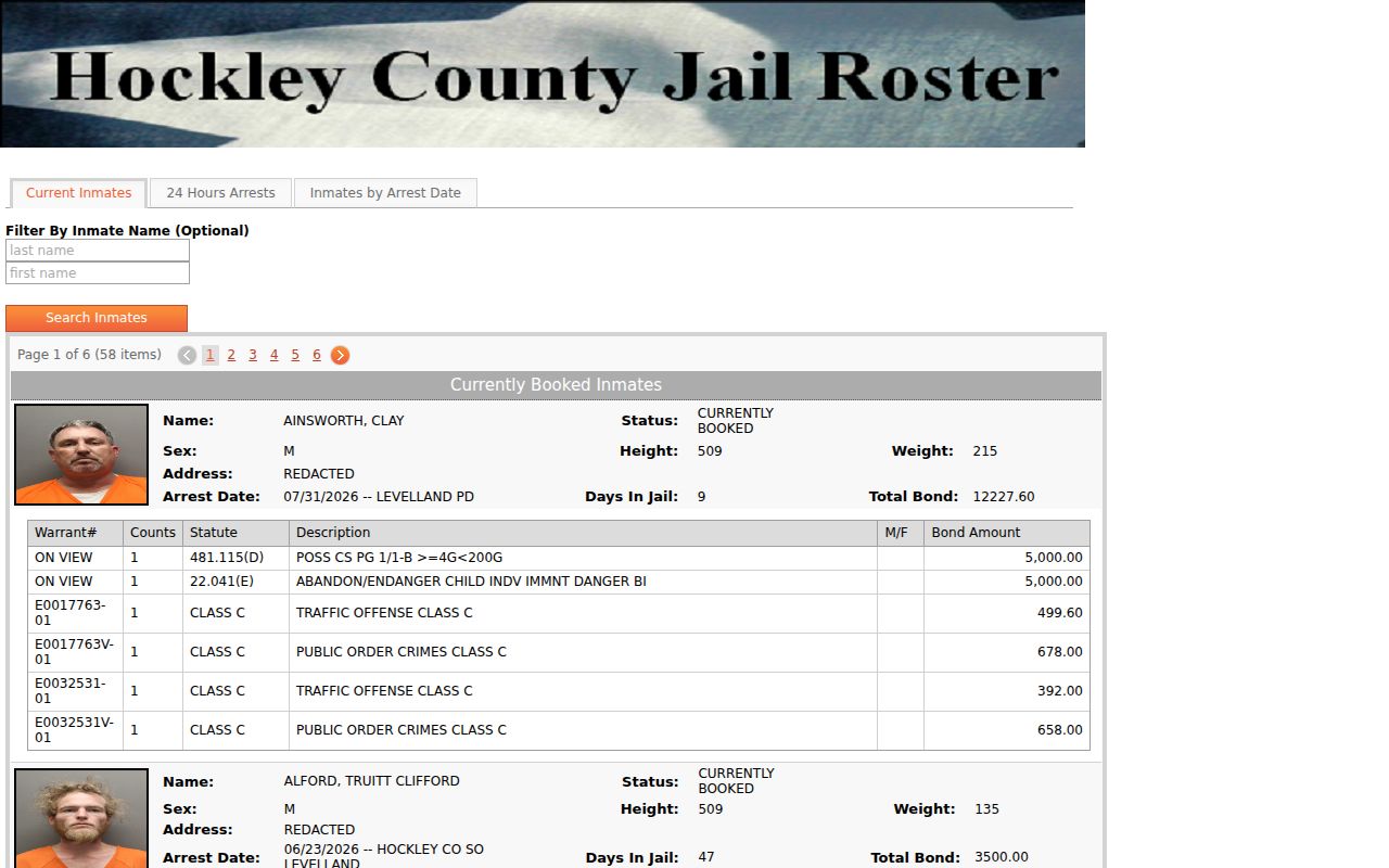 Hockley County arrest record current inmate search controls